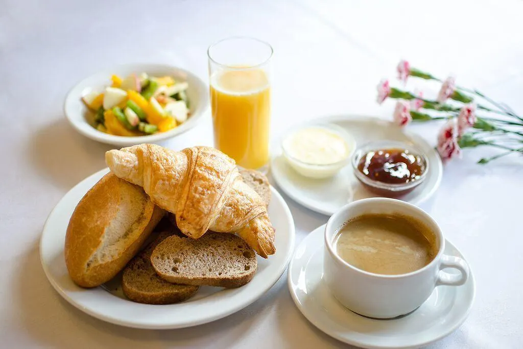 Hotel Saint Louis De France Lourdes